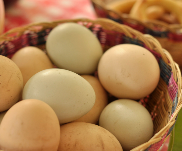 Huevos campesinos en Choachí